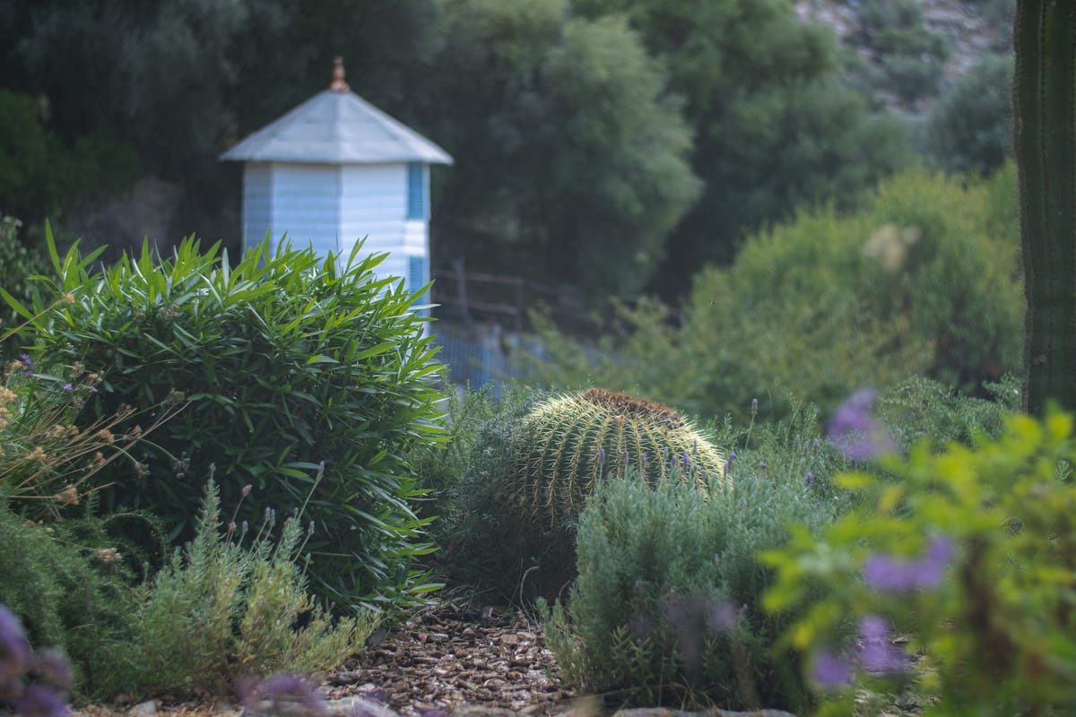 Self-Hosting Forgejo: A Fully Autonomous Code Forge with Actions