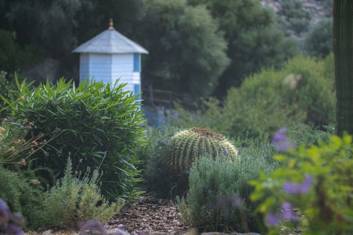 Self-Hosting Forgejo: A Fully Autonomous Code Forge with Actions